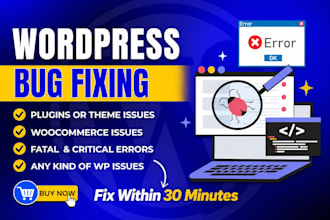 fix wordpress issues, fix wordpress errors, bugs, fix wordpress website