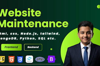 fix website bugs and errors in HTML CSS PHP or javascript