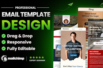 design responsive editable mailchimp email template newsletter
