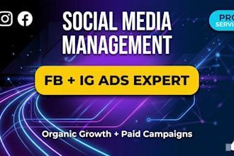 manage your instagram and facebook with ads and SEO content