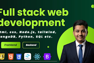 develop a professional full stack website or custom web app