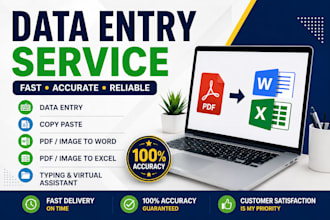 professional data entry and fast typing services