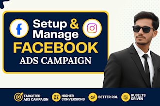 create and manage facebook ads campaign and instagram ads