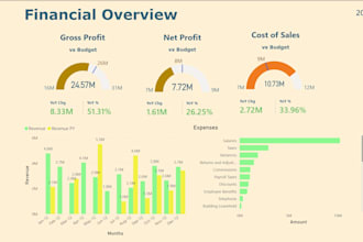 create an end to end executive finance power bi dashboard report