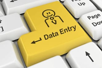 enter data in word and excel