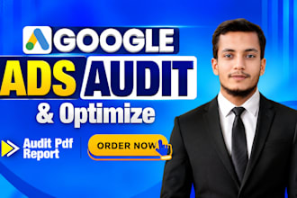 do audit google ads for local business and optimization