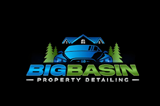 design professional car detailing logo for auto wash 0r auto spa