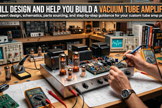 design and help you build a vacuum tube amplifier