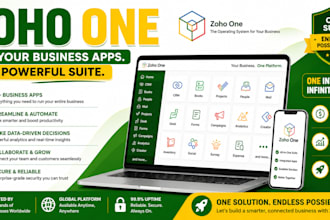 provide expert zoho one setup