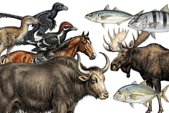 create realistic animal illustrations for encyclopedia book