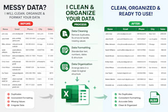 clean format and organize excel or CSV data