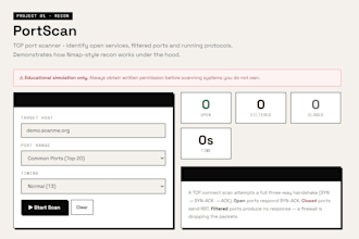 perform a web application security audit and penetration test