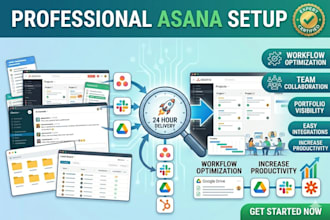provide a professional asana setup for your business in 24 hours