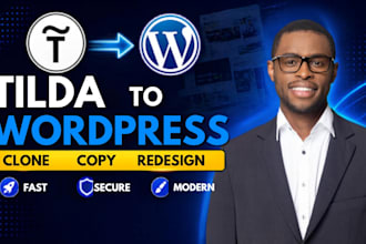 design an elegant, highranking tilda website with professional SEO
