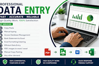 do an exellent data entry in excel and access