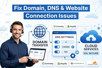 fix domain issues, transfer domains, dns setup, connect shopify, godaddy