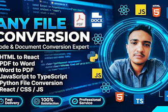 convert any coding file to another format professionally