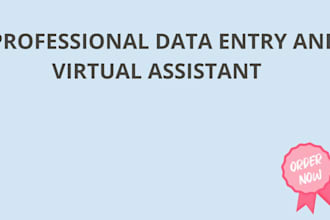 provide professional data entry and customer support service