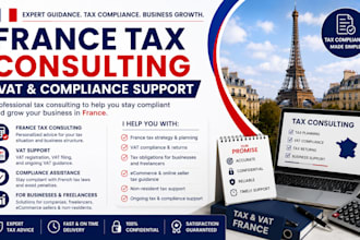 provide france tax consulting vat and compliance support