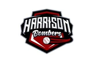 design unique baseball team logo