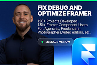fix bugs, errors, and performance issues on your framer website