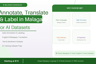 annotate and label data in malagasy for ai training datasets