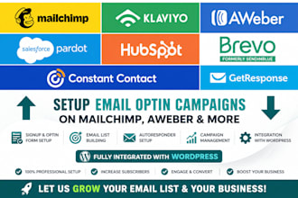 setup email optin campaigns on mailchimp aweber etc on wordpress