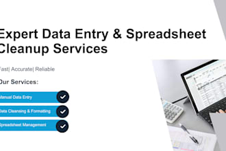do excel data entry, spreadsheet cleanup and organization