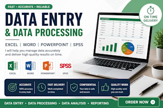 data entry, excel processing, word formatting, powerpoint presentations,