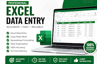 do excel data entry and spreadsheet work professionally