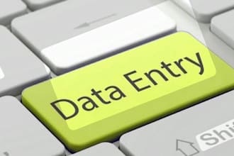 do data entry and typing work accurately and on time