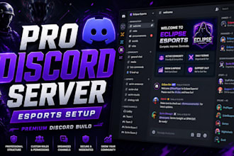professionally set up your discord server with bots, roles and channels