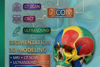 convert dicom to 3d model and medical segmentation