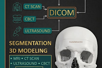 convert dicom to 3d model and medical segmentation