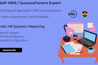 provide sap HR, successfactors, and payroll support