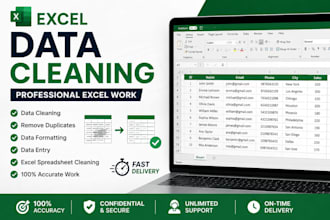 do excel data entry