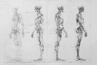draw professional medical concept sketches