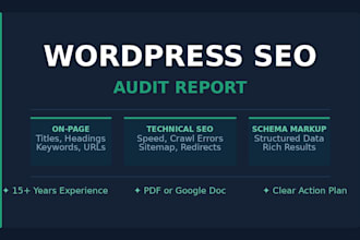 wordpress SEO full custom audit report for your website
