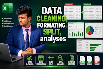 professionally clean, format, organize excel data with 2 years experience