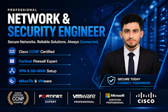 provide professional network engineering