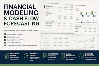 build a professional financial model, forecast and cash flow plan
