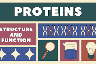 create detailed biology workbooks