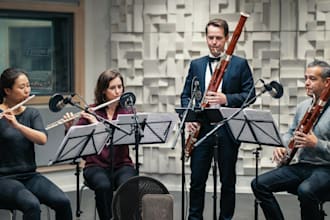 record pro studio quality flute, contrabassoon, bassoon and piccolo