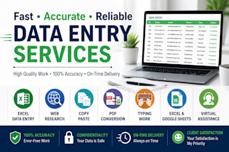 do fast and efficient data entry services with full accuracy