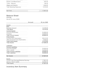 do bookkeeping, financial reporting, inventory, data entry