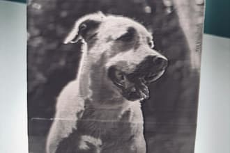 create custom 3d printable models and lithophane stl files for 3d printing