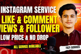 instagram services provider low prices