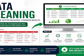 do data cleaning, data formatting, data management
