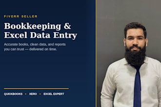 do book keeping, data entry, setup of small businesses