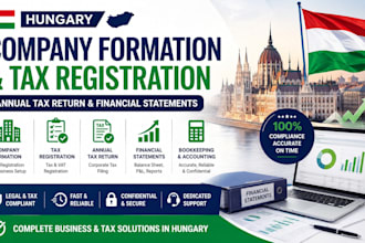 do hungary company formation tax return and financial statements